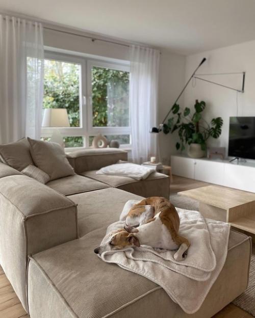 Подборка актуальных угловых диванов. 03