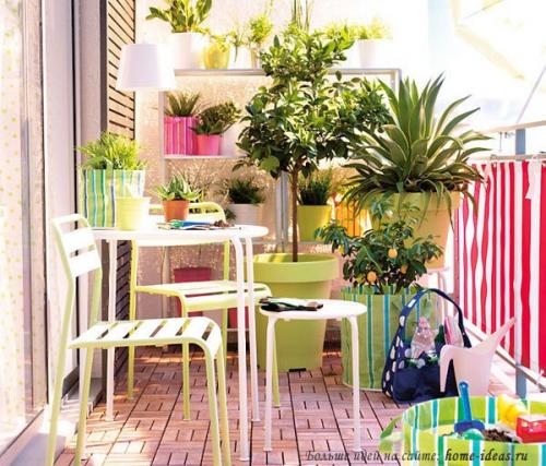 Озеленение балкона, лоджии, террасы? 04