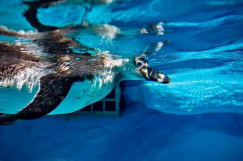 Для тех, кто планирует поездку. 04