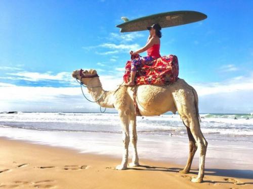 Путеводитель по зимнему марокко: от снежных гор до теплых пляжей. 03