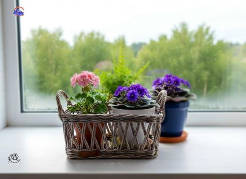 Корзинки - коробочки плетёные применимы везде: кухня, гостиная, прихожая, столовая, ванная комната, веранда, терраса, балкон. 01