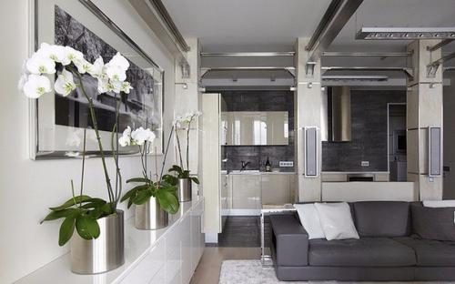 9 домашних растений вместо освежителей воздуха и Саше. 08