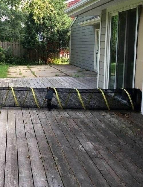 Вашему вниманию представляется котопровод. 02