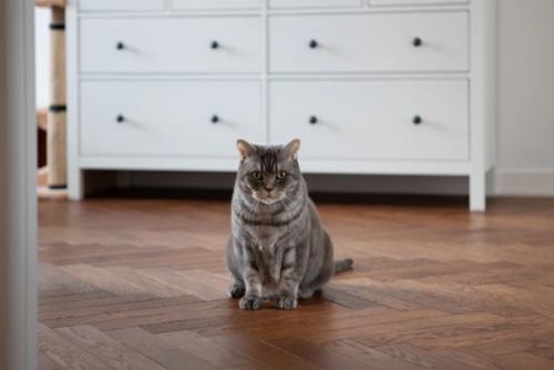 День одного проекта ч. 3. 04