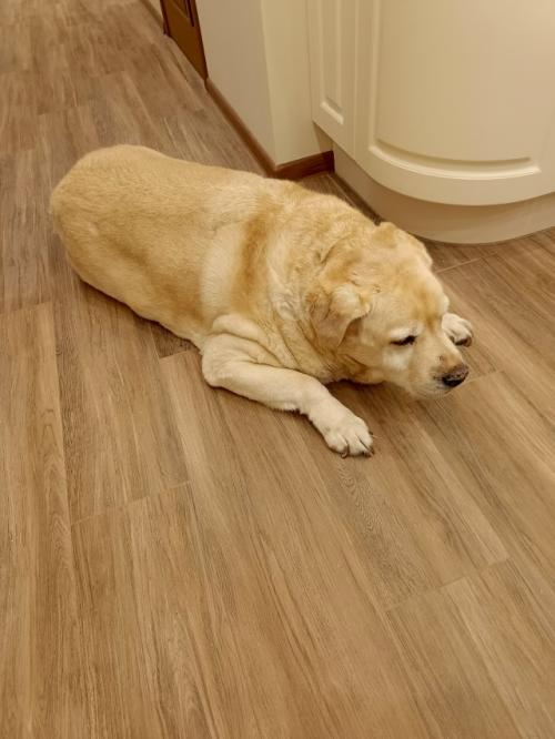 Хочу во вторник уже переехать в новую квартиру, - мелькнула у меня мысль. 

