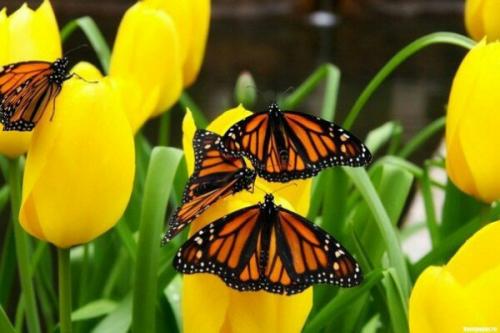 Для тех, кто планирует поездку. 03