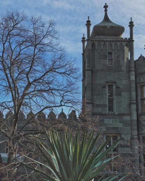 Прогулка по воронцовскому парку в Алупке, республика Крым, это незабываемый опыт для любителей красивой природы и культурного наследия. 01