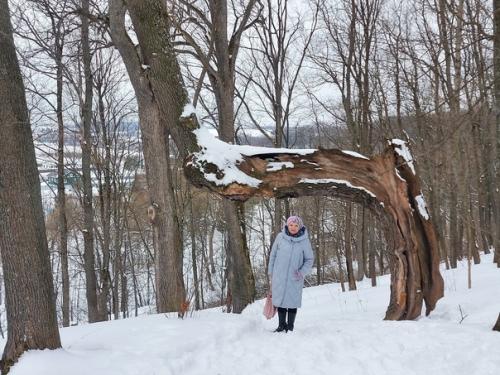 Тульские поэты оказались первыми экскурсантами музея - усадьбы Дворяниново после его радикального переоснащения. 07