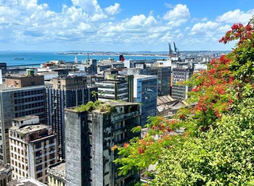 Сальвадор - это не просто город, а настоящая сокровищница бразильской истории, культуры и атмосферы карнавала! 07