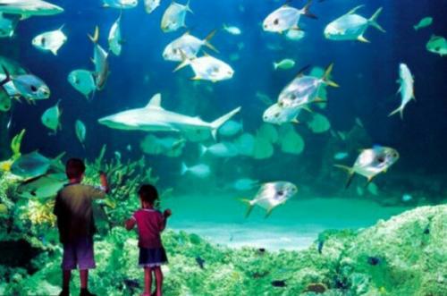 Для тех, кто планирует поездку. 02