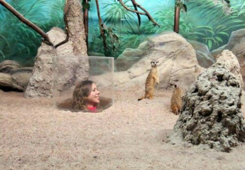 Для тех, кто планирует поездку. 07