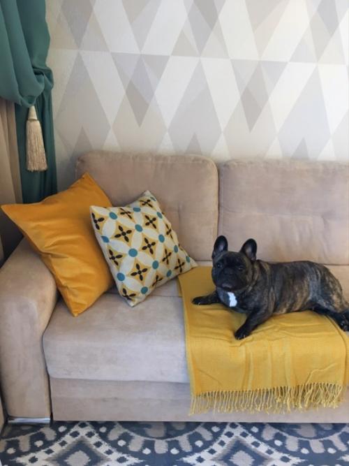 Кухня с гостиной (18 кв. 03