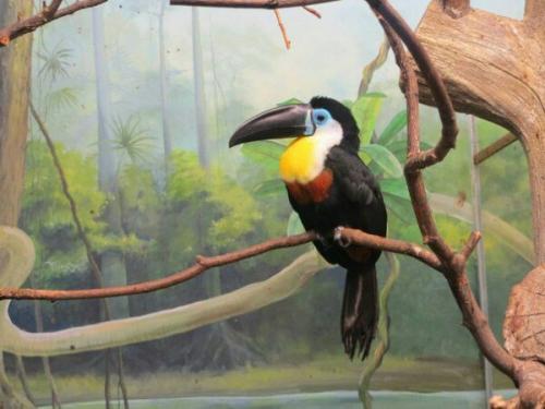 Для тех, кто планирует поездку. 01