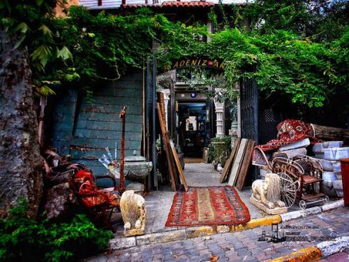 Хотите совершить небольшое путешествие во времени и увидеть, как жили в Стамбуле в начале прошлого века? 08