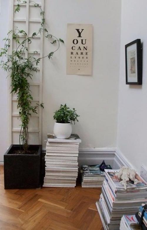 9 домашних растений вместо освежителей воздуха и Саше. 09