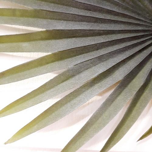 Панно - светильник Пальма! 09