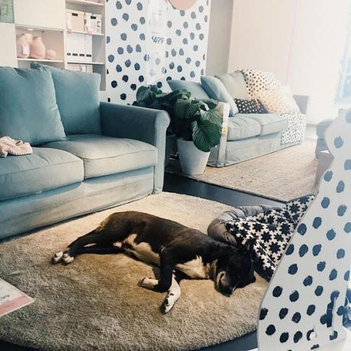 Добрая инициатива от Ikea. 01