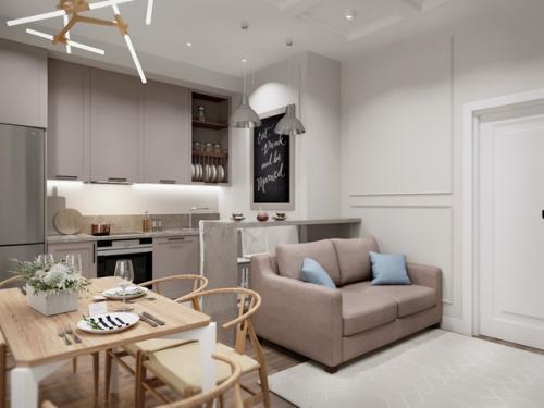 Проект для большой однушки в ЖК донской Олимп. 05