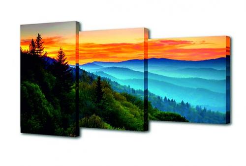 Картины на холсте для интерьера пользуются большим спросом, так как они красивые и экологичные? 09