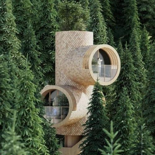 На фото вы можете наблюдать проект модульного дома на дереве.