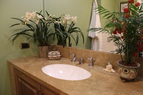 Ванная: шкатулки - из Италии, кораллы - из Греции, гравюра - из эрмитажа. 03