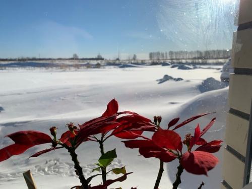 И ещё немного полезностей в ваш дом. 01
