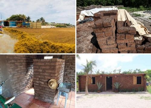 Мексиканец строит дома из водорослей с пляжа, дома которым не страшны ураганы и землетрясения. 06