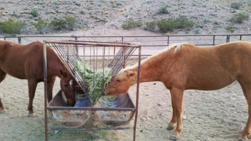 День 26. Проехал 112 км. 02