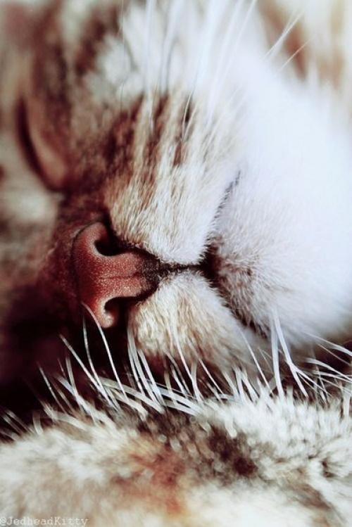 Пусть каждый день с улыбок начинается, пусть будет больше нежности и ласки, и все мечты красивые сбываются, как в самой доброй и. 05