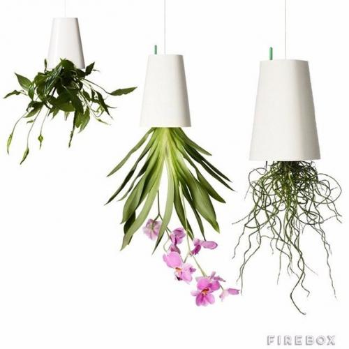 Висячие сады в интерьере. 07