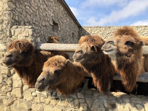 Баку.  Всем привет! 07