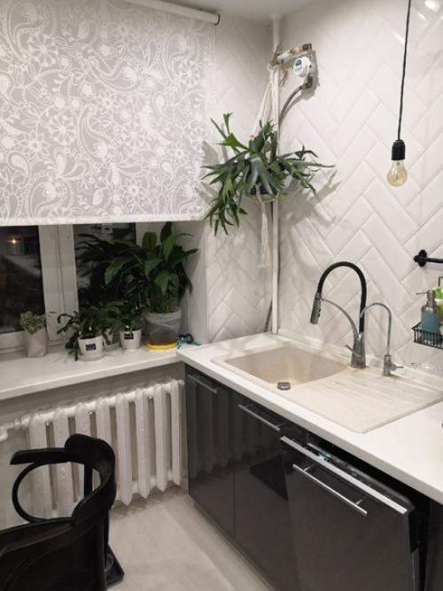 Здравствуйте.  Хочу поделиться с вами комнатно - растительной красотой. 01