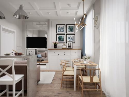 Проект для большой однушки в ЖК донской Олимп. 04