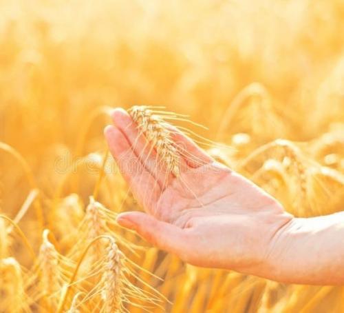 Сказка про веру: 01