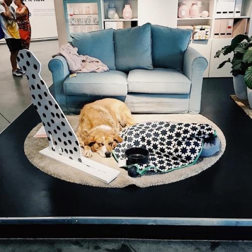 Добрая инициатива от Ikea. 02