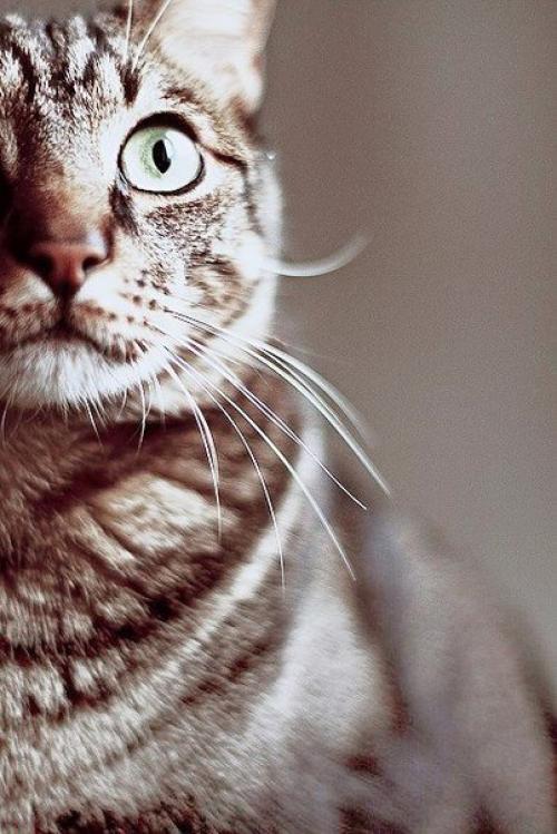 Пусть каждый день с улыбок начинается, пусть будет больше нежности и ласки, и все мечты красивые сбываются, как в самой доброй и.