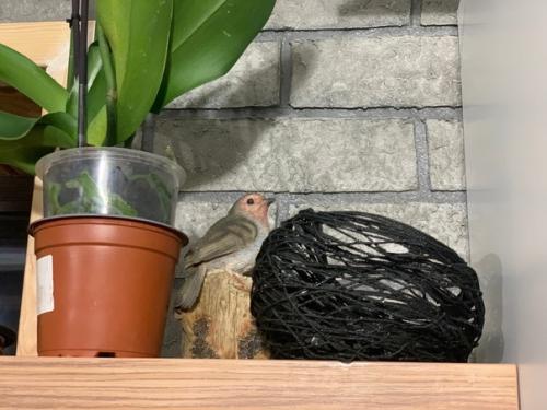 И ещё немного полезностей в ваш дом. 02