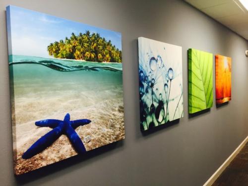 Картины на холсте для интерьера пользуются большим спросом, так как они красивые и экологичные? 06