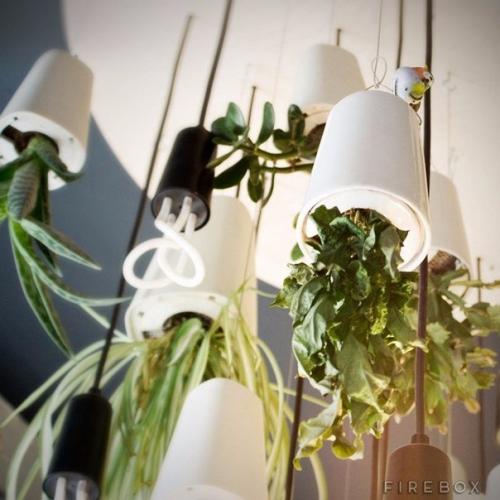 Висячие сады в интерьере. 06