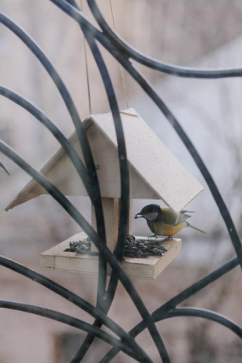 Двушка с отсылкой к классике на Арбате ч. 1. 05