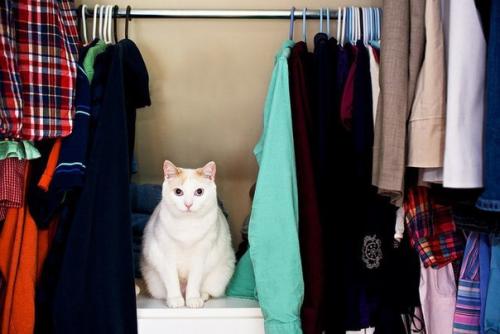 Лайфхак: куда можно отдать ненужные вещи? 01