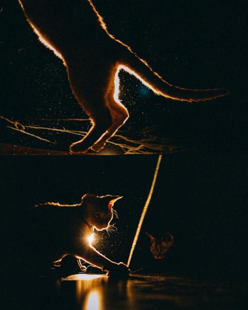 На днях залила на сайт новые серии, немного всё там причесала и привела в порядок. 08