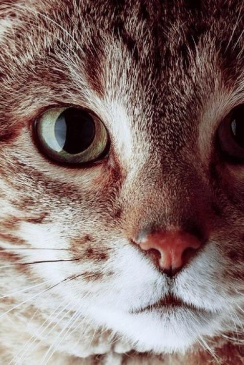 Пусть каждый день с улыбок начинается, пусть будет больше нежности и ласки, и все мечты красивые сбываются, как в самой доброй и. 03