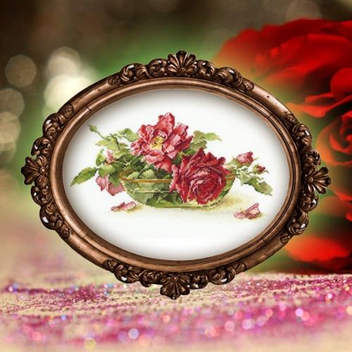 При всем многообразии цветов на планете, роза все же королева! 01