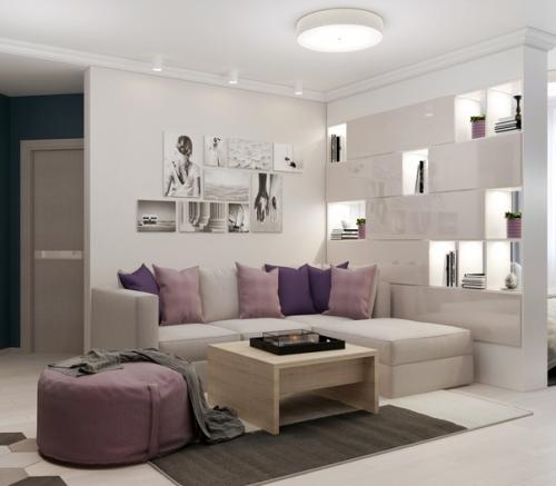 Зонирование комнаты на гостиную и спальную зону. 01