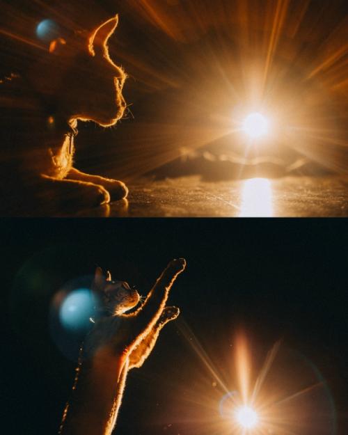 На днях залила на сайт новые серии, немного всё там причесала и привела в порядок.  