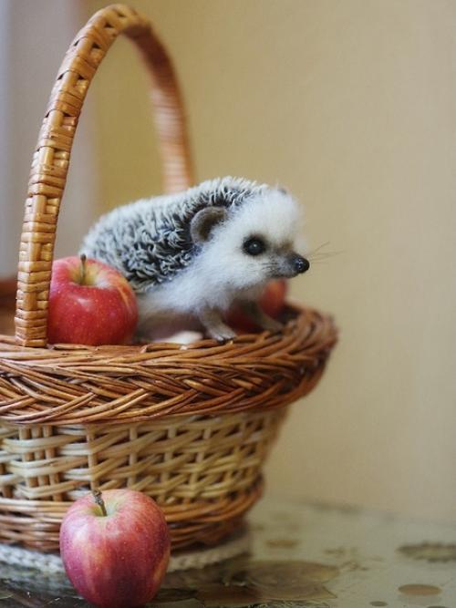 Что же такое - интерьерные игрушки из натуральной овечьей шерсти и для чего они нужны? 02