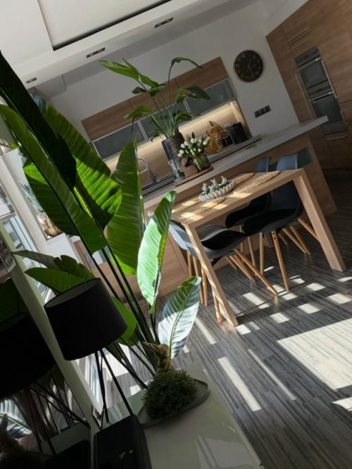 Добро пожаловать в современную квартиру, где интерьер уже дышит весной. 02