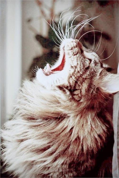 Пусть каждый день с улыбок начинается, пусть будет больше нежности и ласки, и все мечты красивые сбываются, как в самой доброй и. 02