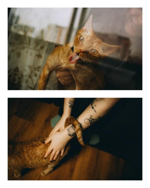 На днях залила на сайт новые серии, немного всё там причесала и привела в порядок. 05